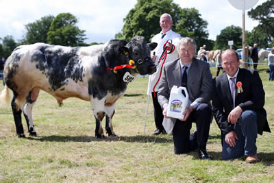 The winner of the final of the Osmonds/NI Blue Club Bull Derby was Knockagh Busker exhibited by Jim Ervine, Newtownabbey. Ivan Porter of Osmonds is pictured making a presentation along with Alistair Watret, Annan, Judge of the event.